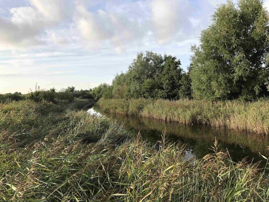 Bazien Luxe kamer bij strand en natuur veel faciliteiten. Westkapelle Buitenkant foto