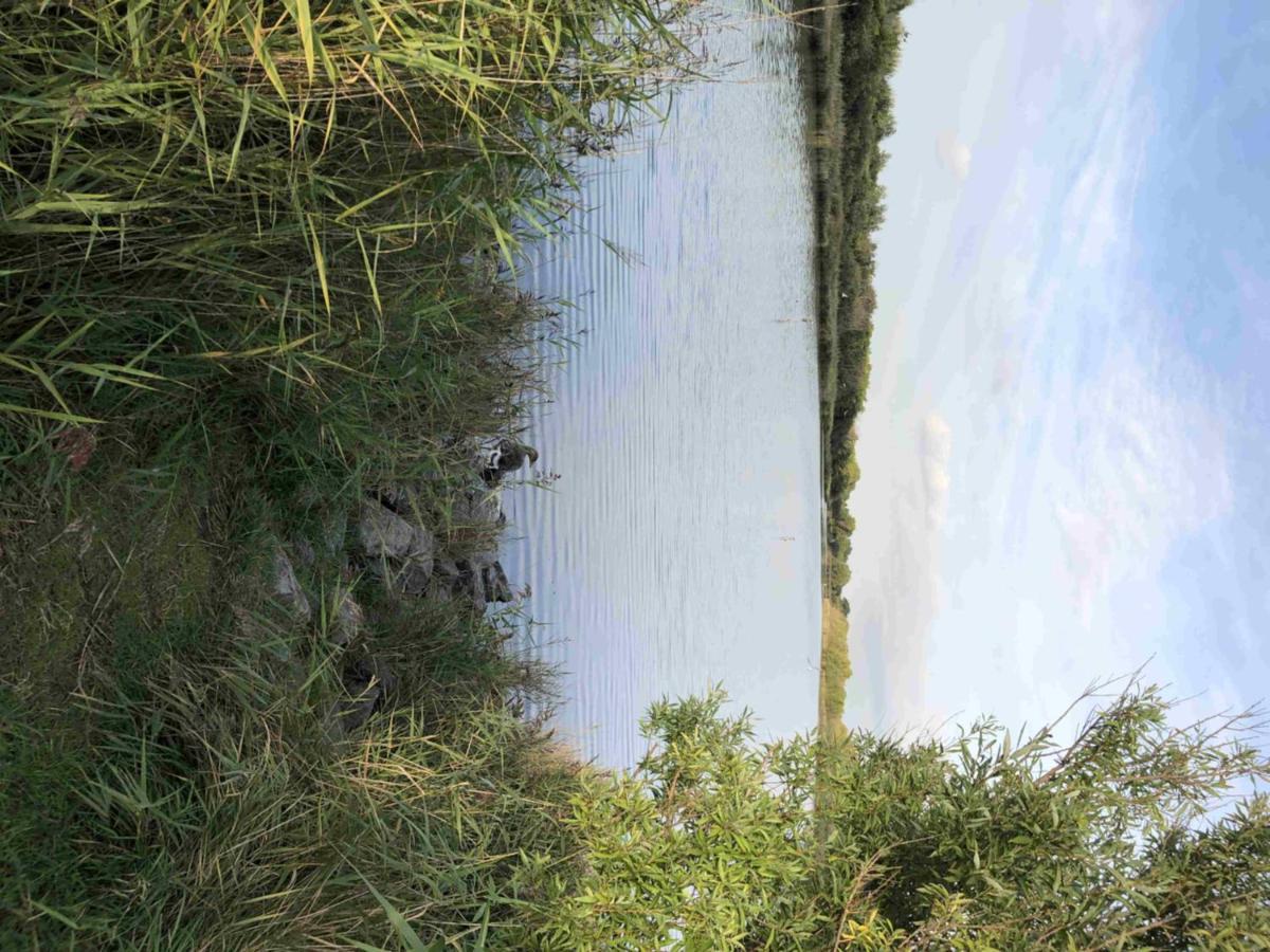 Bazien Luxe kamer bij strand en natuur veel faciliteiten. Westkapelle Buitenkant foto